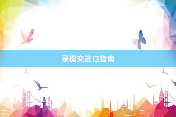 录提交进口指南